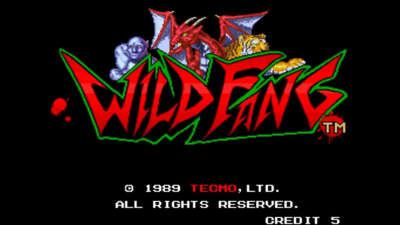 Tecmo Knight [Información del juego]