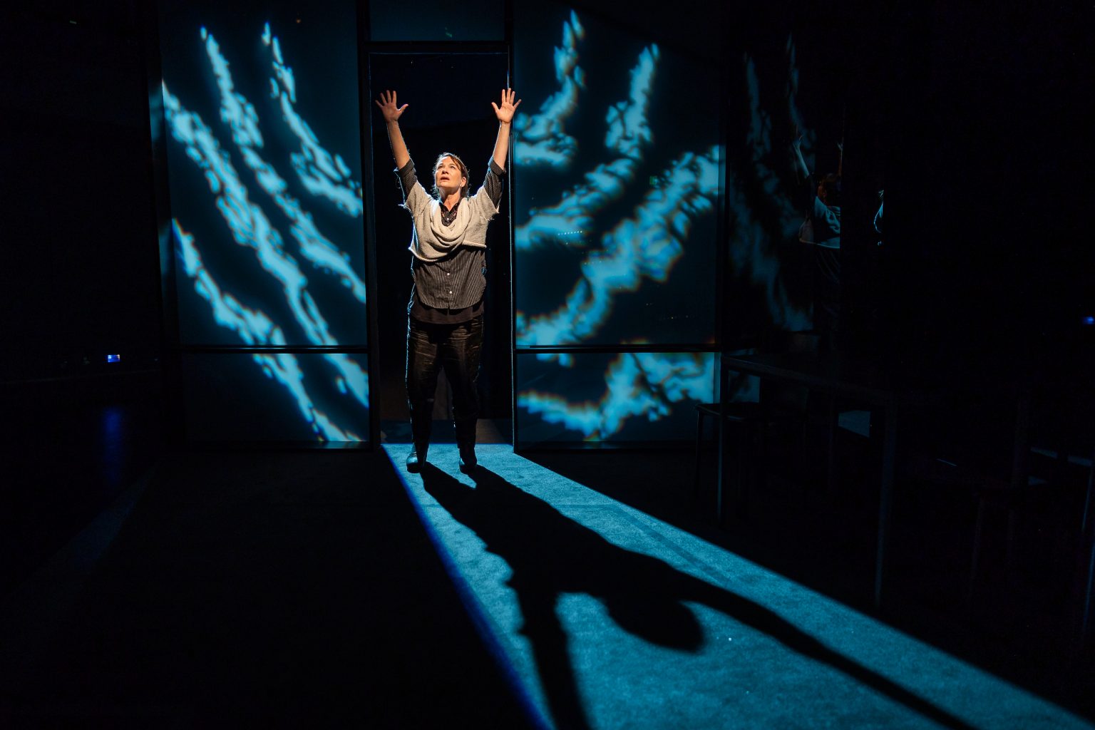 "The Sound Inside" by Adam Rapp - SpeakEasy Stage Company (Boston, MA.) - REVIEW