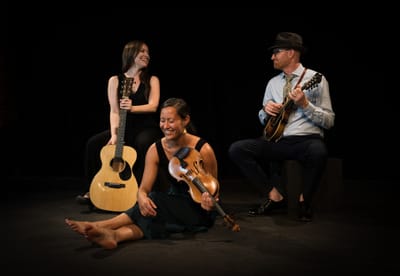 METRMAG Spotlight On: Folk and Roots string-band LOW LILY at Club Passim (Cambridge, MA.)