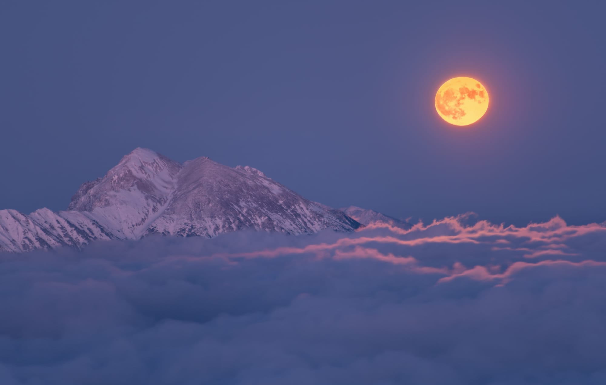 Photos from around the world