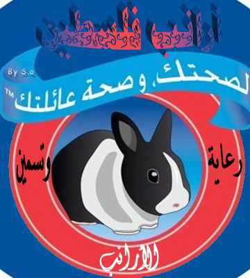 مزرعة فلسطين لتربية الأرانب بإدارة شادي النجار