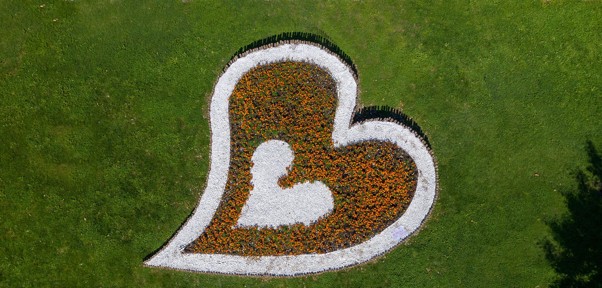 Coeur en fleur de la Mairie de Decines-Charpieu