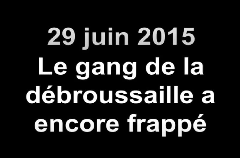 29/05/2015. LES CHEMINS DE NEBIAN DÉBROUSSAILLENT