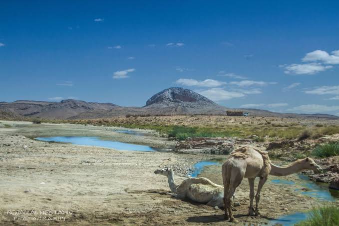 Tamanrasset