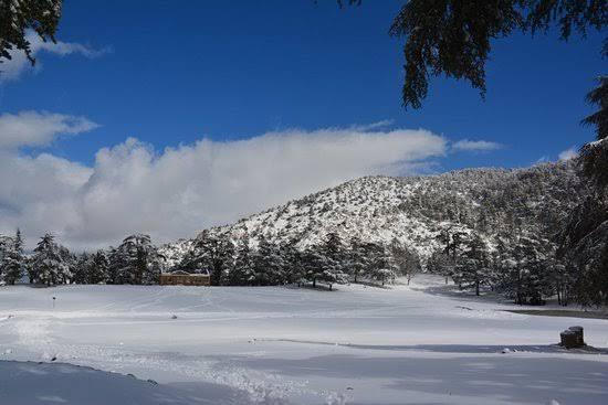 THENIET EL HAD NATIONAL PARK