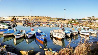 Tipaza