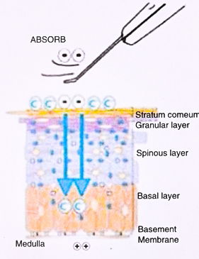 How to use – Absorb Treatment