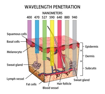 Choosing a Treatment Colour image