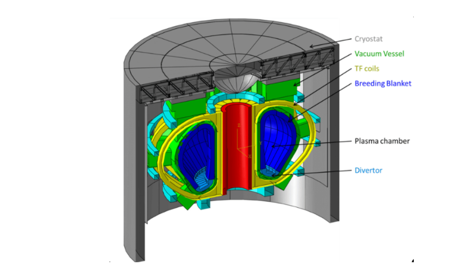 Tokamak Fusion Reactors