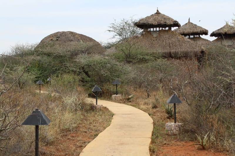 6 Days  Best of Northern Tanzania Adventure Camping Safari.