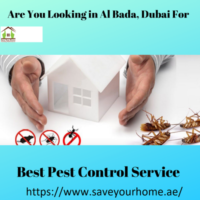 Which is the Best Pest Company in Dubai?