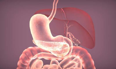 What are the main function of digestive system? image