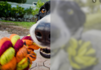 Going for a Walk Research image