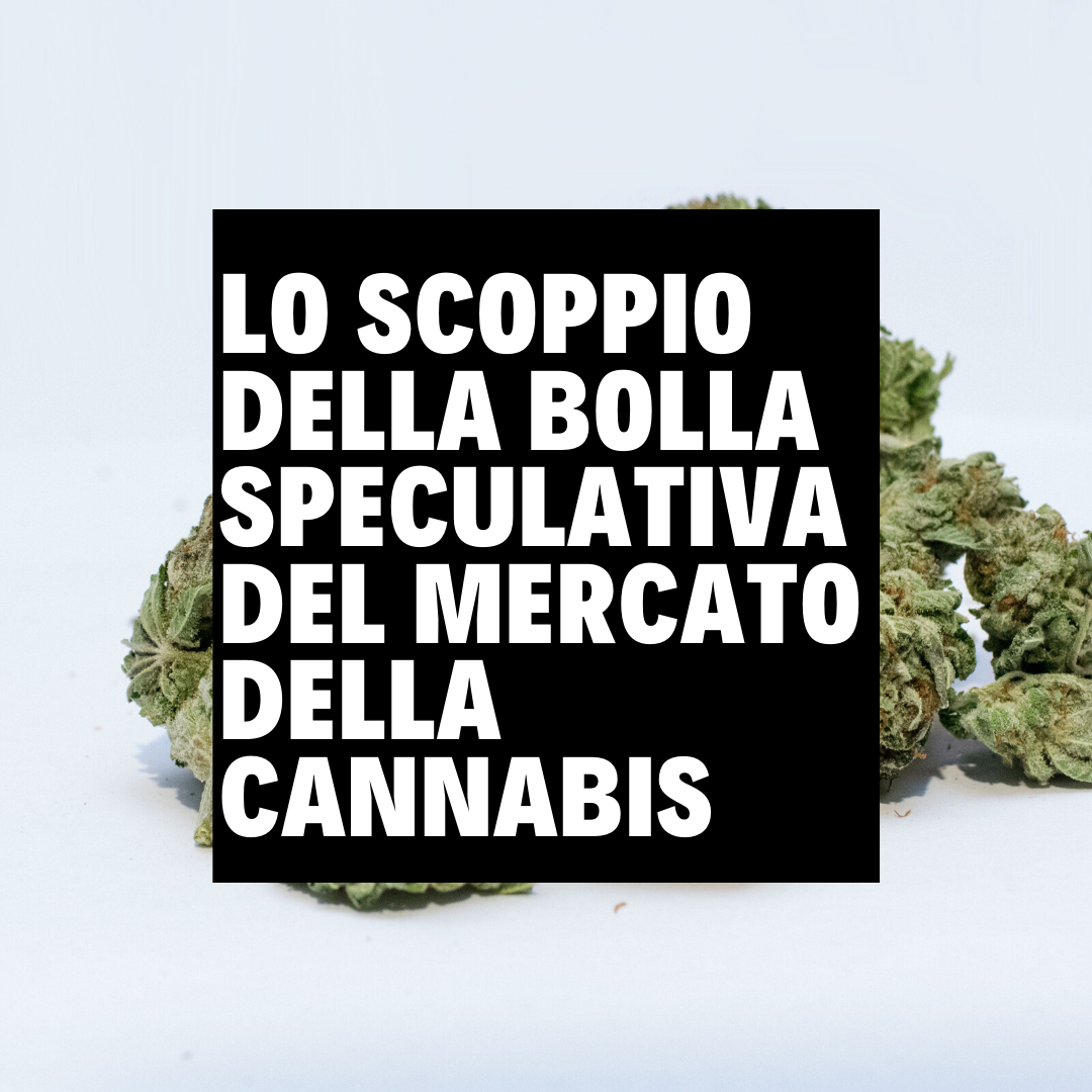 LA BOLLA SPECULATIVA DELLA CANNABIS