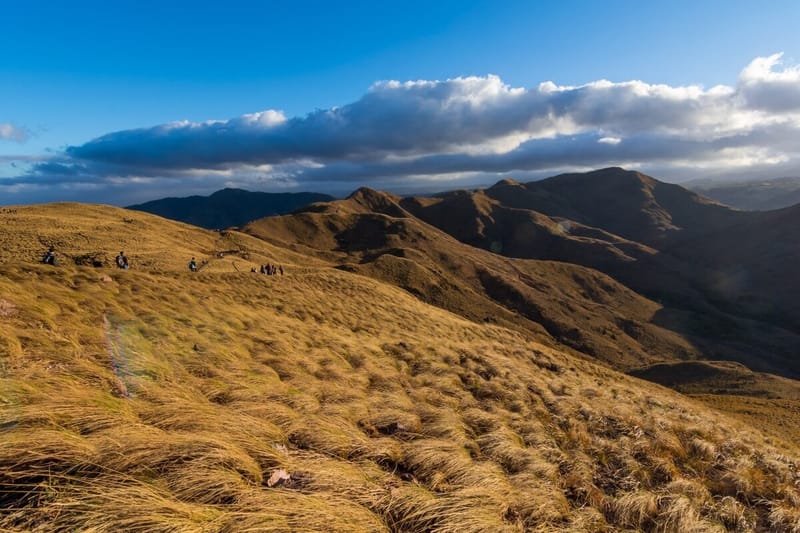 CERRO PELADO.