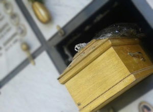 Tumulazione/Estumulazioni