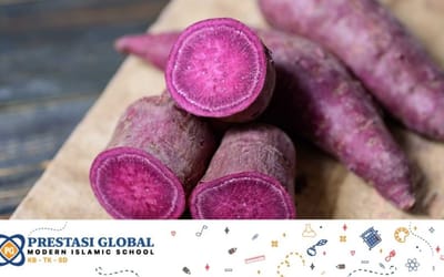 5 Manfaat Ubi Ungu untuk Menjaga Kesehatan Anak Obesitas