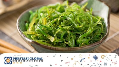 Manfaat Rumput Laut Bagi Kesehatan dan Tumbuh Kembang Anak