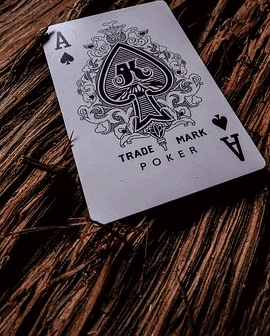 Pin di Situs Poker Dan Judi Gaple Online