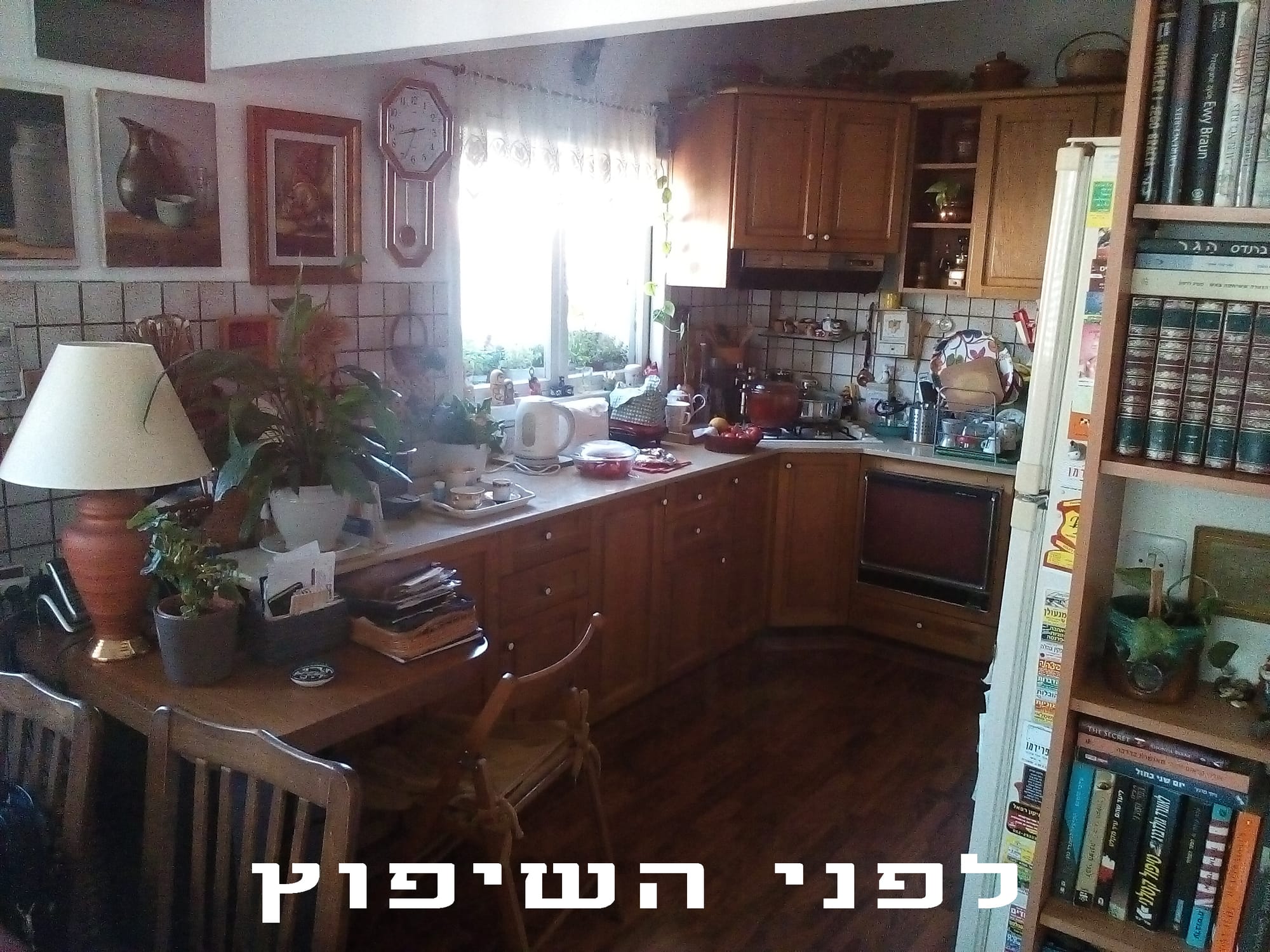 משפחת ברקאי