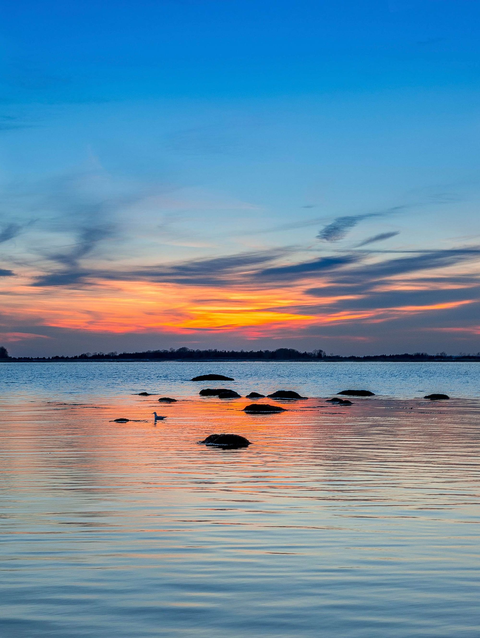 15 Cheerful Happy Quotes