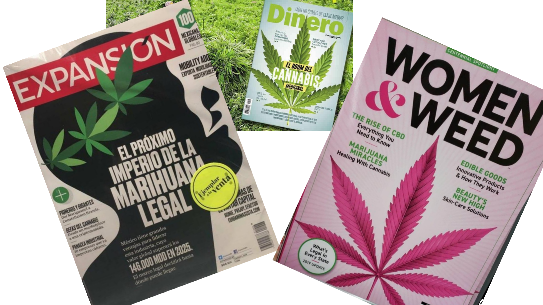 ¿Qué es el CBD?