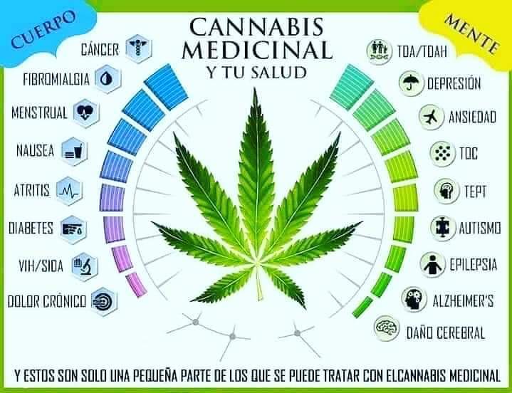 Uno de los últimos y destacados descubrimientos de la ciencia