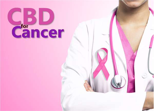 ¿El CBD Realmente Cura el Cáncer?