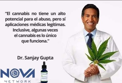 CBD y sus efectos terapéuticos