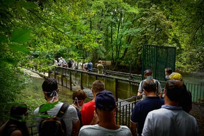 LE SURF SUR LE THIOU FAIT DES REMOUS