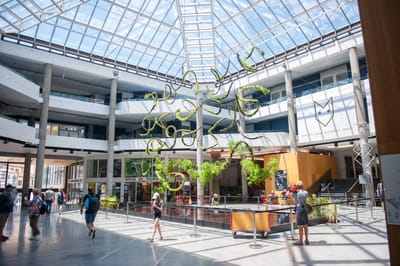 Annecy sans politique culturelle : une politique qui fait du mal à la culture !