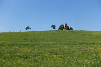 Bétonnage de zone humide à Branchy : pour Les Annéciens, c'est non !