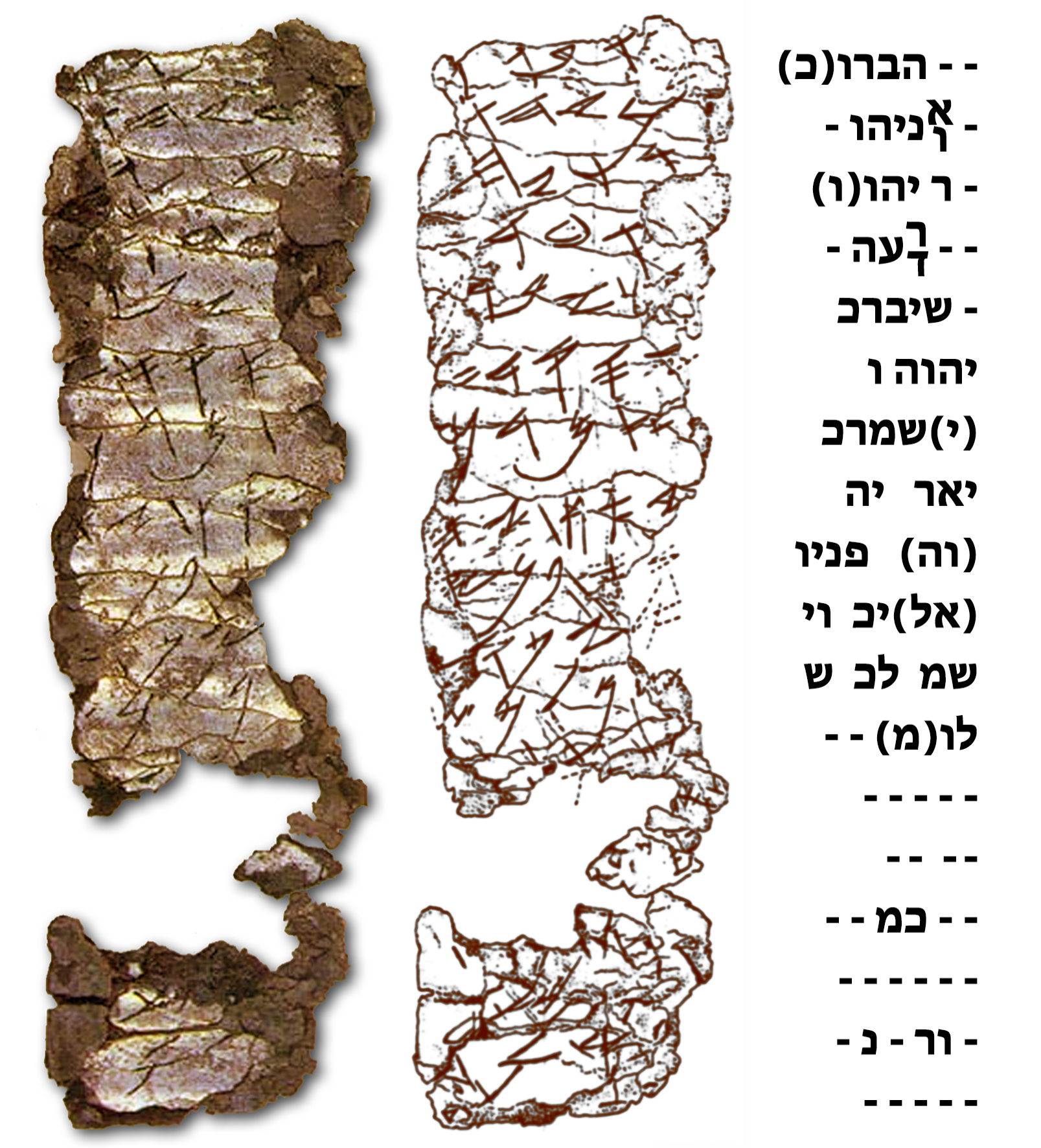 פרשת אמור