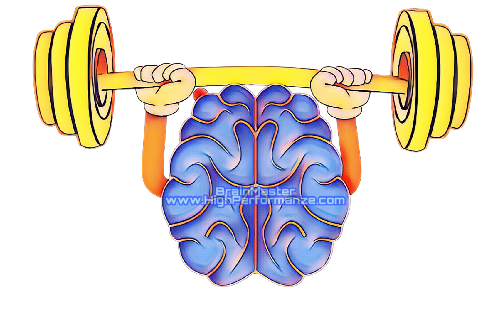 How to choose brain fitness training?