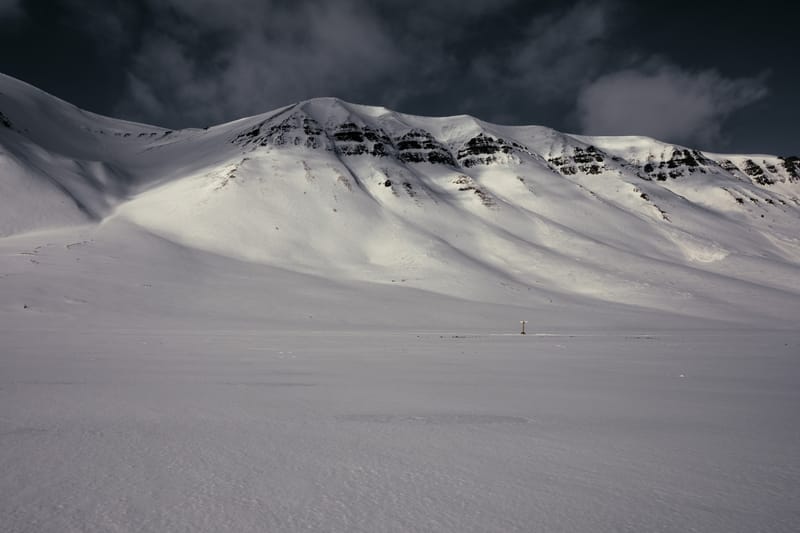 Polar y montaña