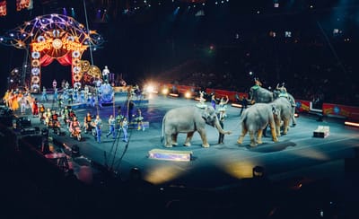 Future Concert Formats