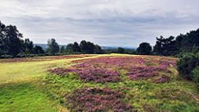 Event 36 - Spring 2001 - Crowborough Beacon