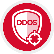 DDoS Protection