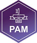 Privillaged Access Management (PAM)