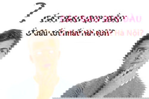 Top 6 dia chi cat bao quy dau o dau tot nhat Ha Noi