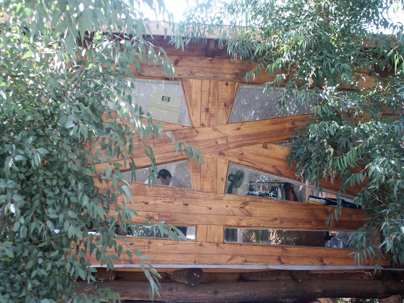 CAHIER 22: Intégrer l'Arbre dans l'Architecture