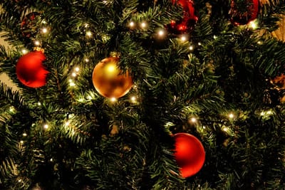3. Christmas light tours image