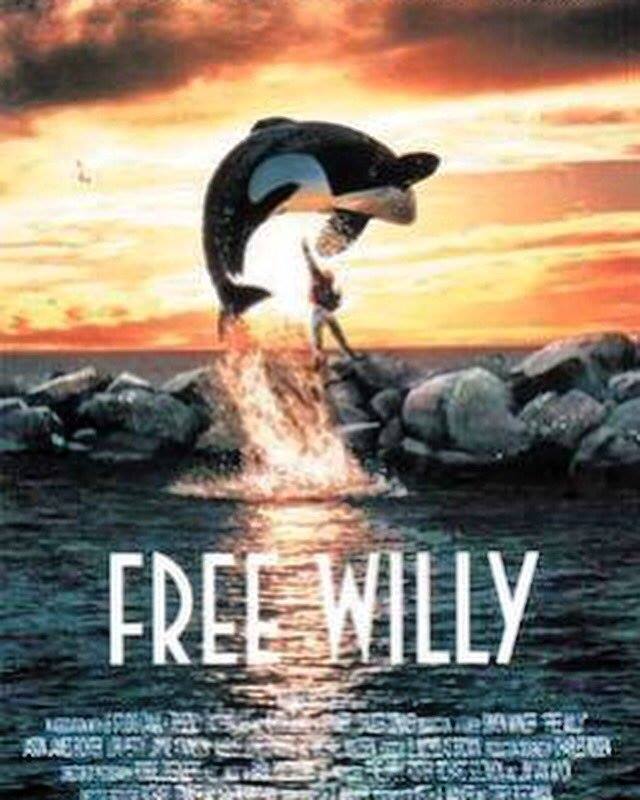 hashtag FreeWilly Beats LAZYPANDUHH to Grab 4th Place