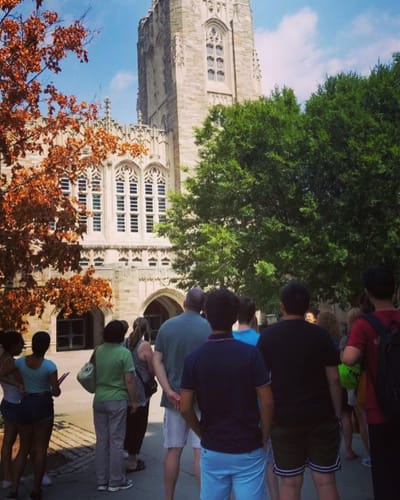 Sunflower (Rex Orange County)