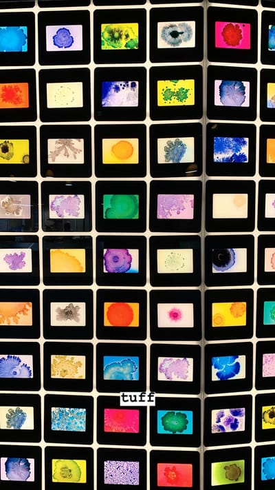 "Microbes Rule" -Monday- 11/18/19