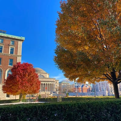 "T-Minus One Week" -Sunday- 12/1/19