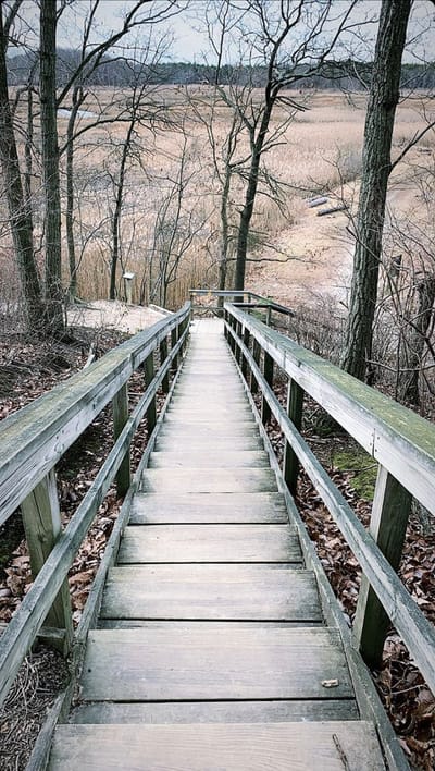 Diversity in the Healthcare Field