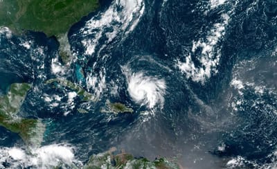 Nervous System Basics Pt. 3