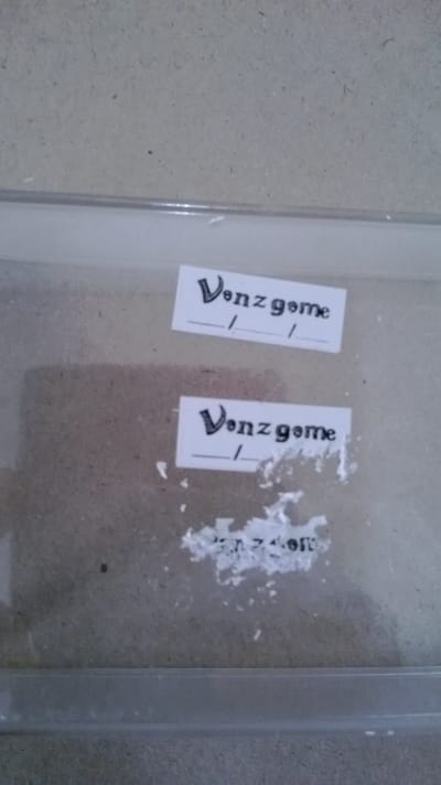 สติ๊กเกอร์เปลือกไข่คืออะไร