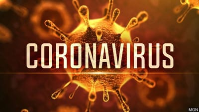 CoronaVirus (Covid19)